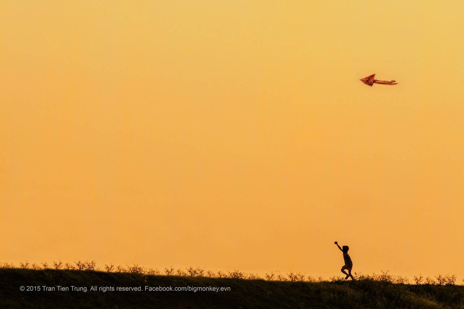 , Trần Tiến Trung