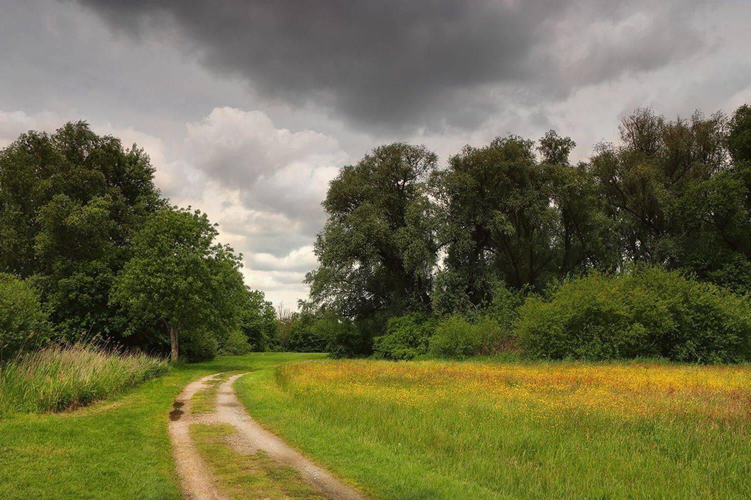 , Игорь Дубровский