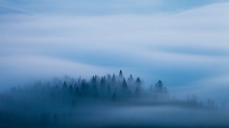 slovakia, light, morning, blue, fog, mist, mountains, spring, trees, flow, twilight, dawn, mood, atmosphere, landscape, nature Blue Velvet фото превью