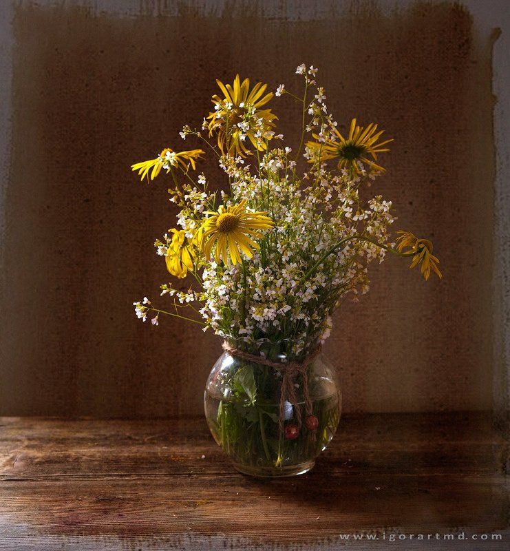 Wildlife фото превью