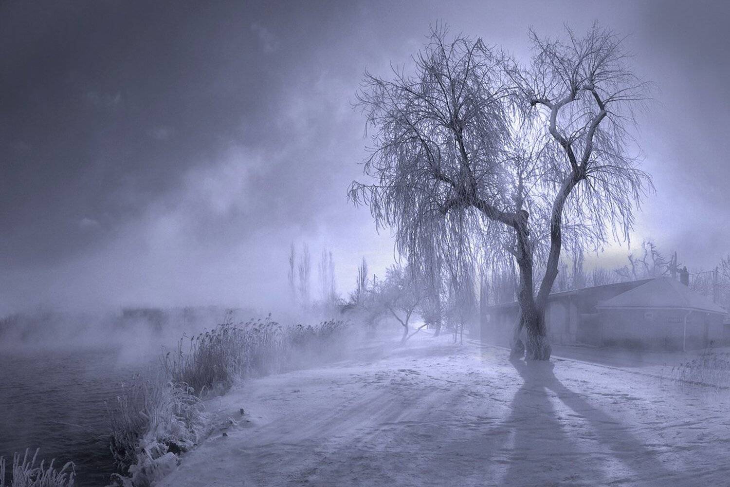 зима, туман, река, рассвет, Алексей Рыльский