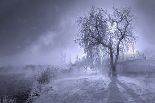 Зимний пейзаж