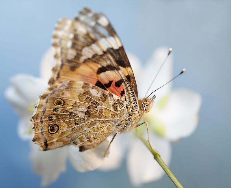 Подарки на «День фотографа» фото превью