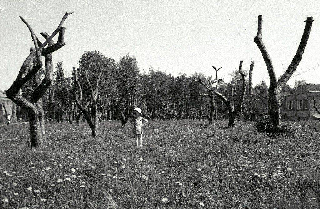 , Дмитрий Филимонов