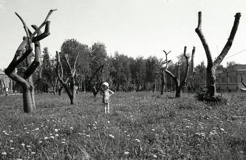 Цветок фото превью