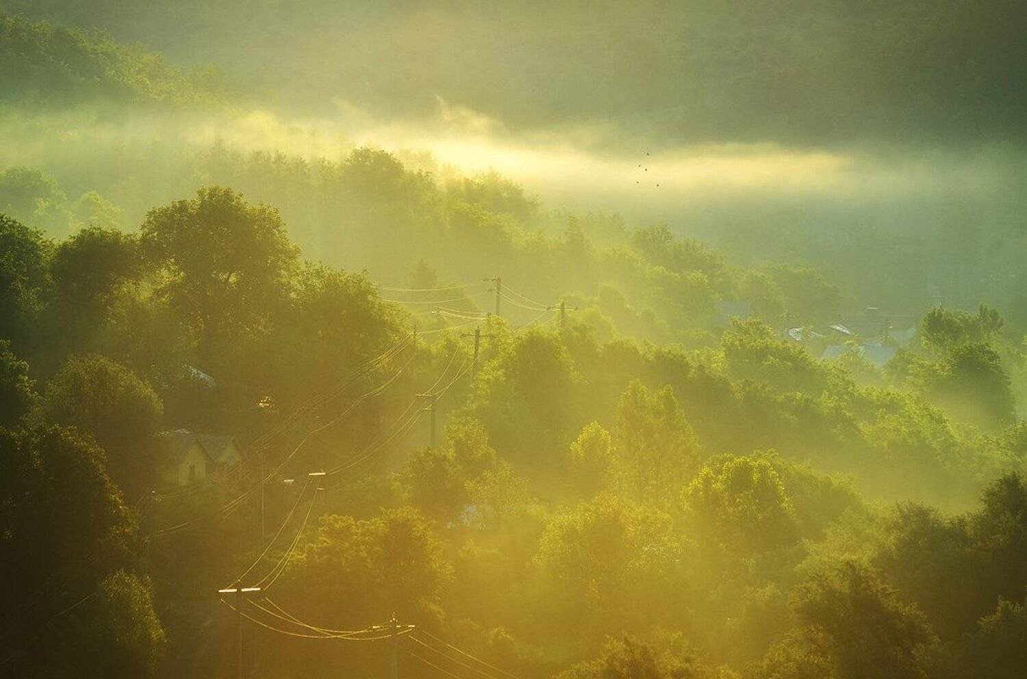 , Stefan Chirobocea