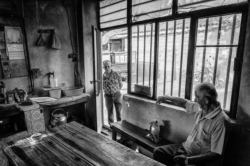 Animals, Black and white, Kindness Kindness фото превью