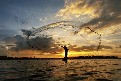 The fisher