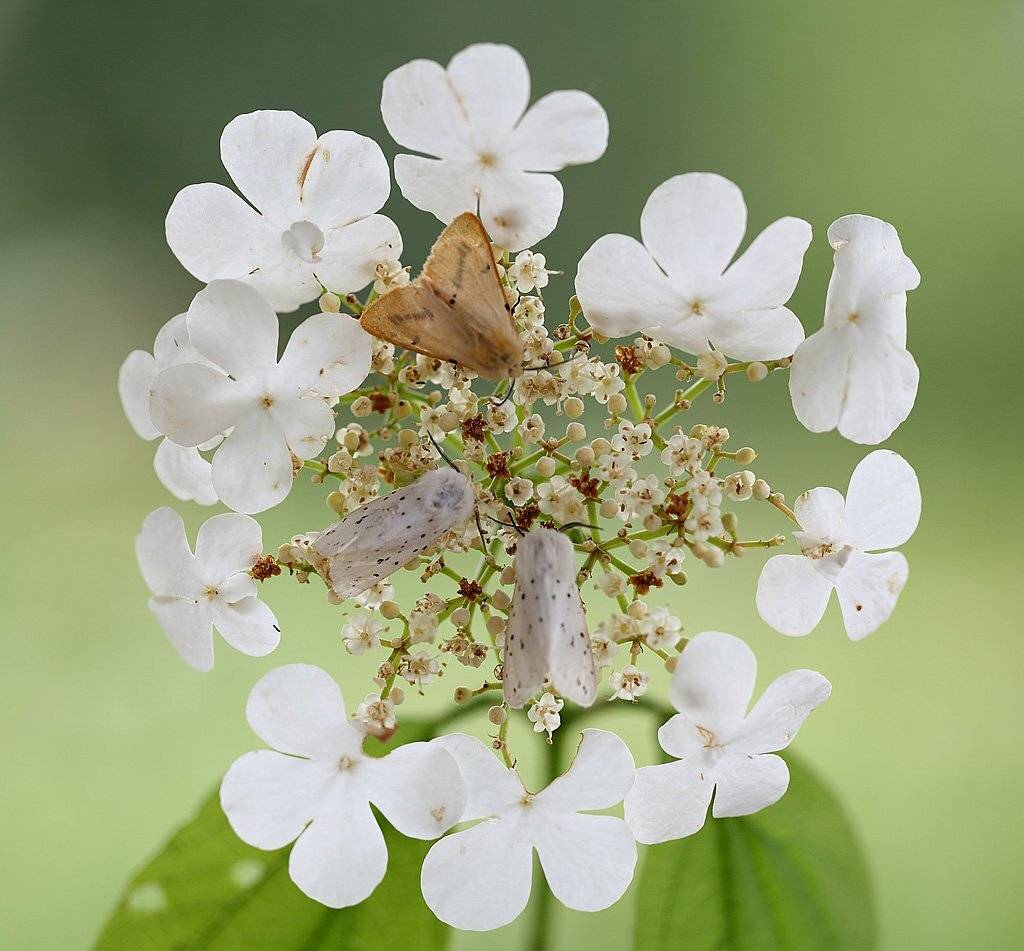, Сергей Таланов