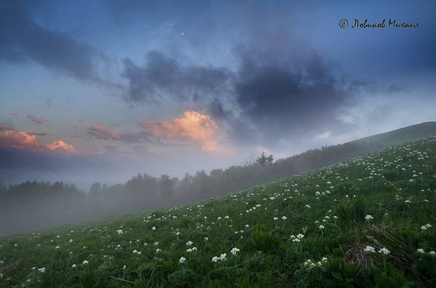 , Ловиков Михаил