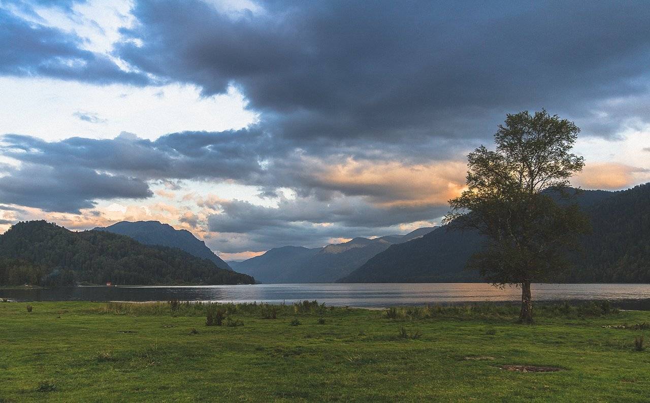Телецкое озеро, Цвелёв Дмитрий