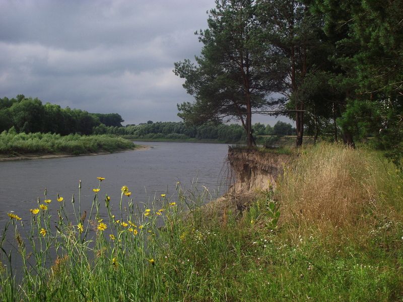 К Дню Фотографа ... фото превью