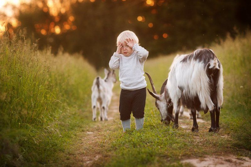 Обидели.. фото превью