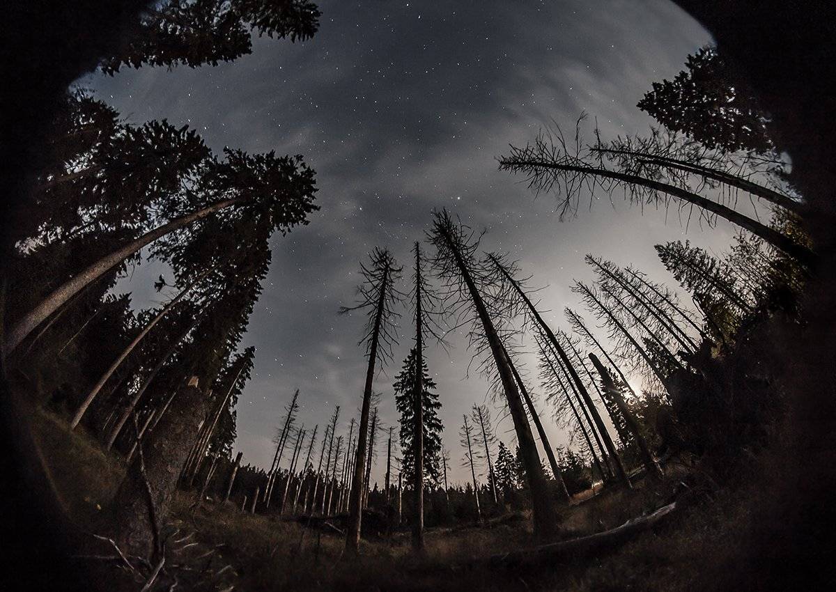 Германия, Ключенков, Ночь, Kljuchenkow Aleksandr