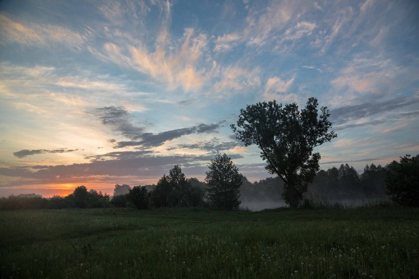, Александр Бредихин