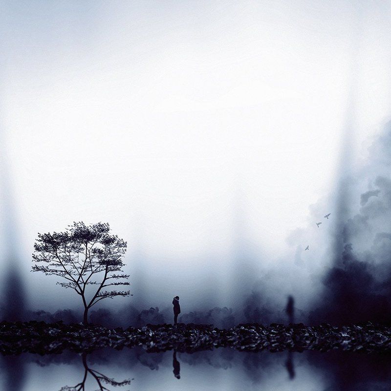 concept, fine art, fineart, photography, manipulation, tree, landscape, nature, shadow, ghost, girl, smoke, birds, creative, Awake my other self фото превью