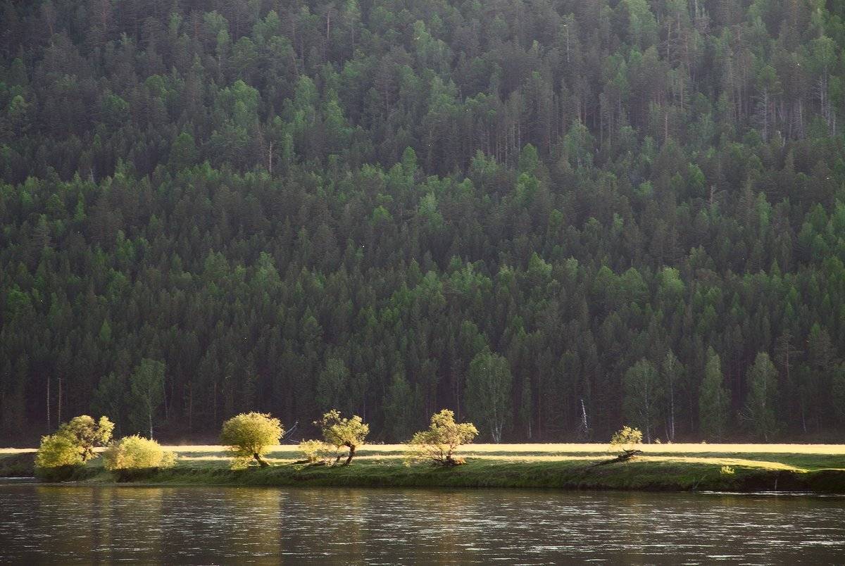 , Николай Морский