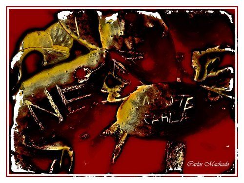 Amo-te Carla (Love you Carla)