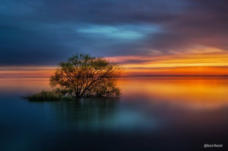 ................. фото превью