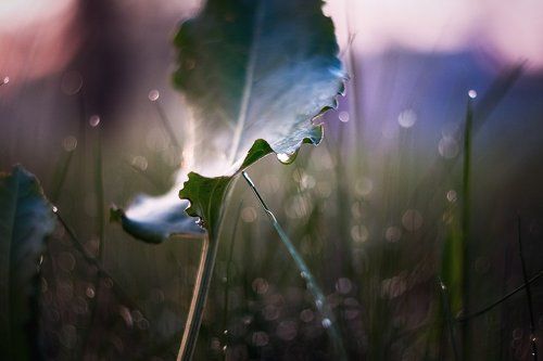 Затаив дыхание