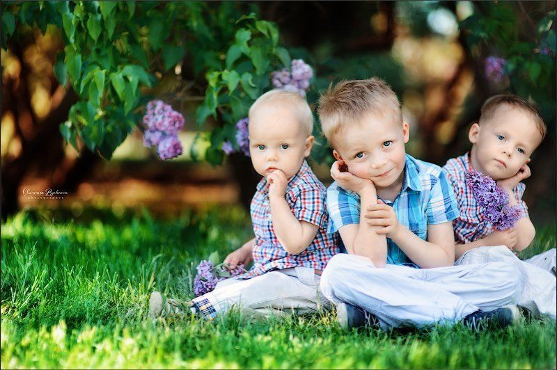 Сиреневые дети фото превью