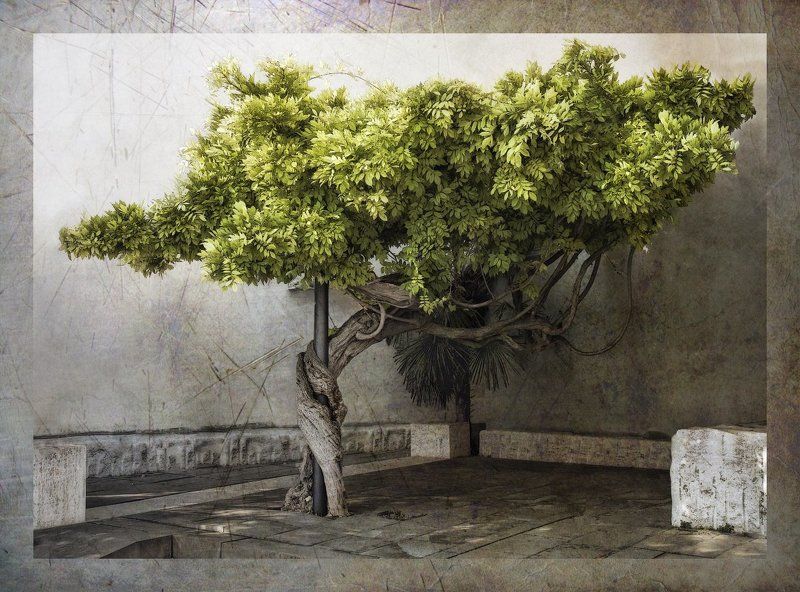 Танцы на шесте фото превью