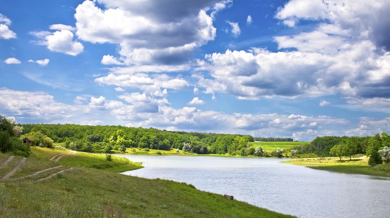 Forever Summer фото превью