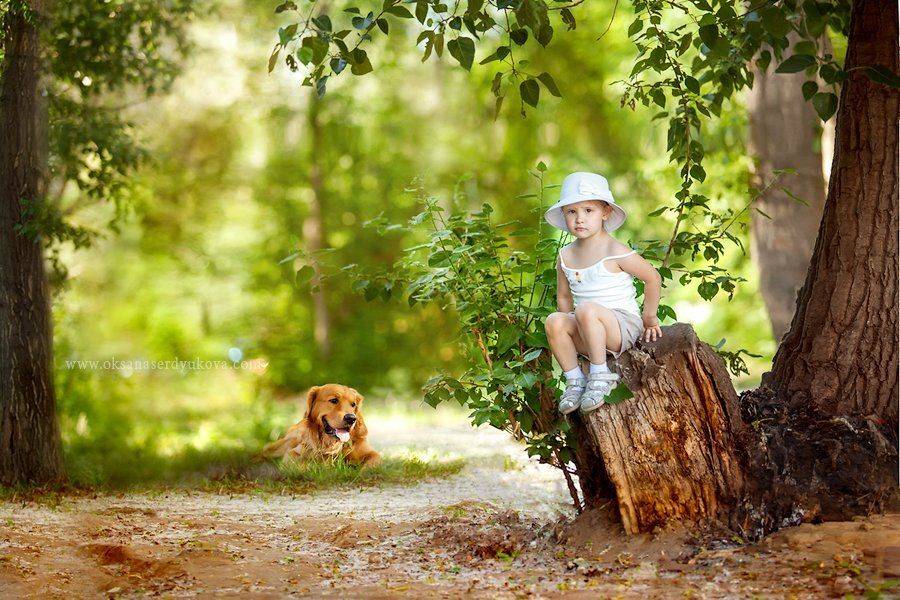 дети,семья,природа,прогулка,лес,солнце, Оксана