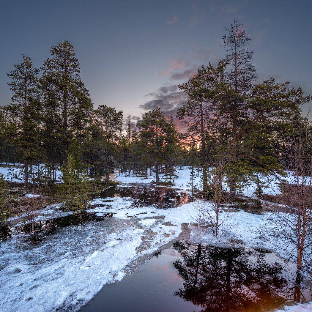 весна, заполярье, кольский, терский берег, утро, Роман Горячий