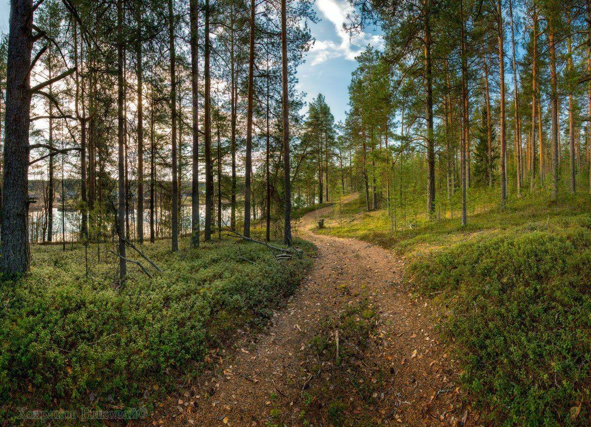 , Хохряков Николай