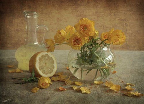 купавки в лимоном