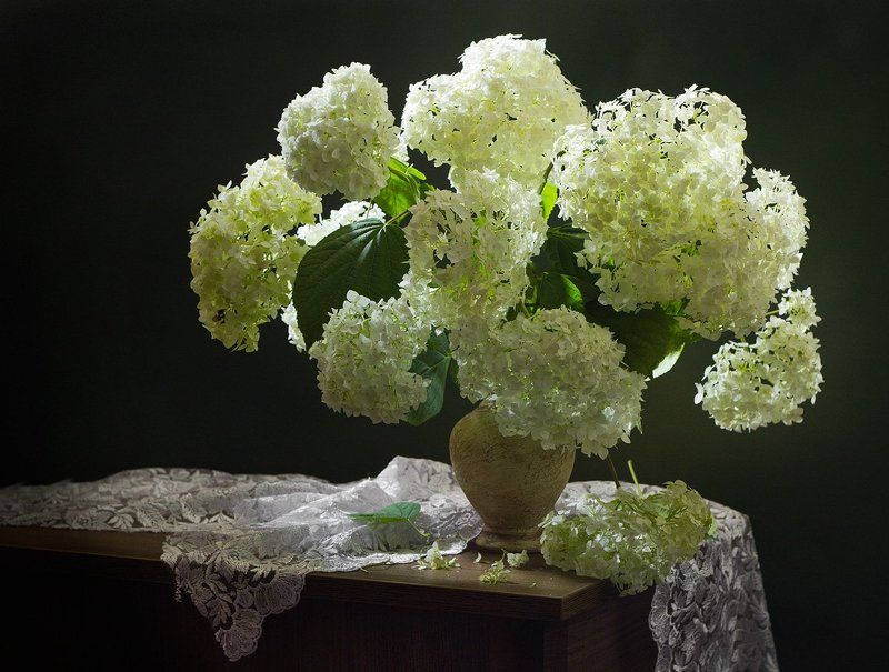 ***** фото превью