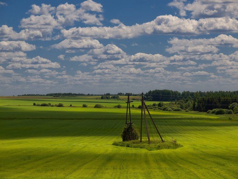 *** фото превью