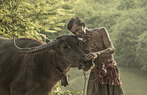 Photos lifestyle of Thailand in northeastern Thailand.