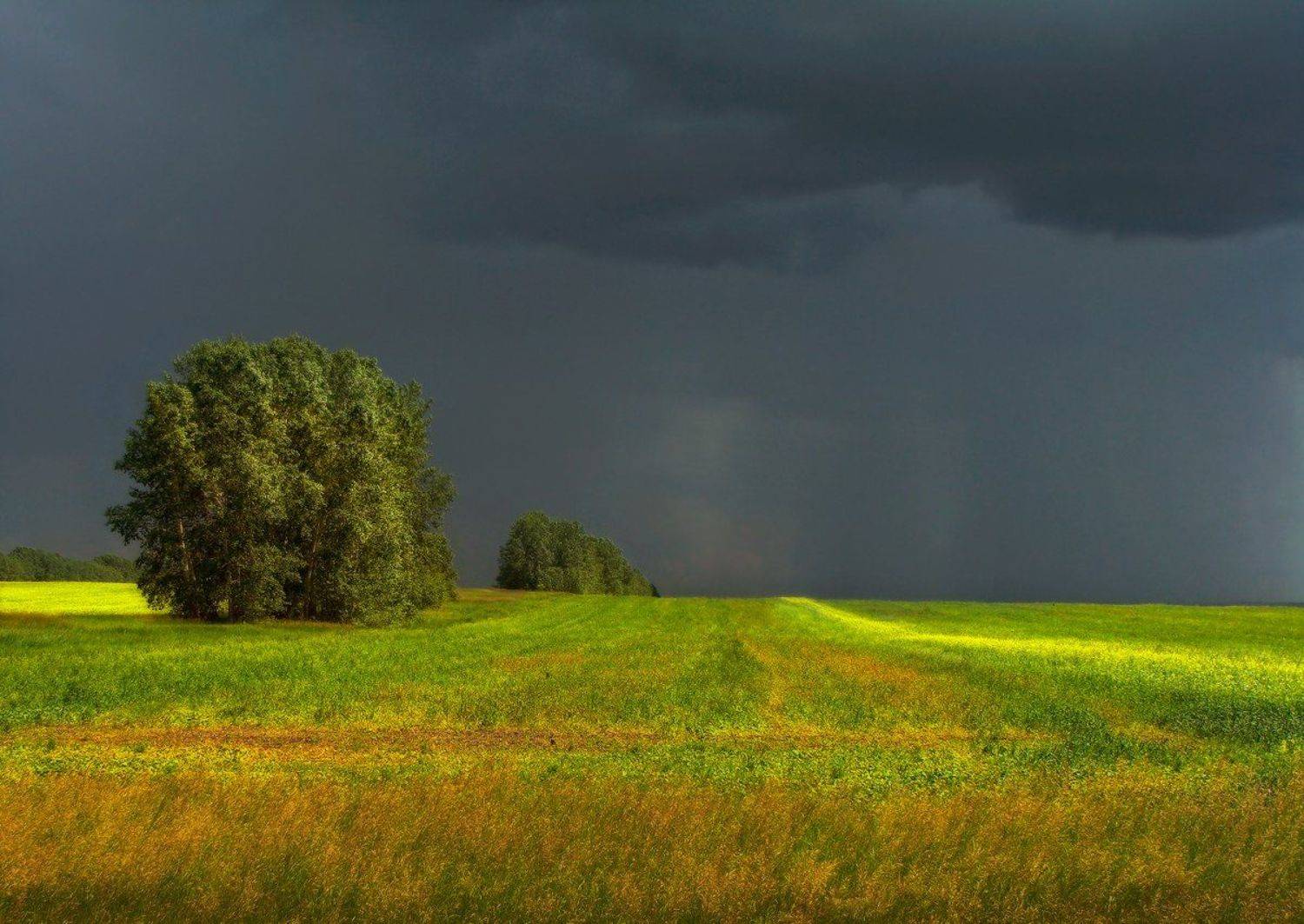 туча, лето, гроза, дождь, Галина Хвостенко
