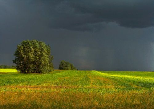 Скоро гроза