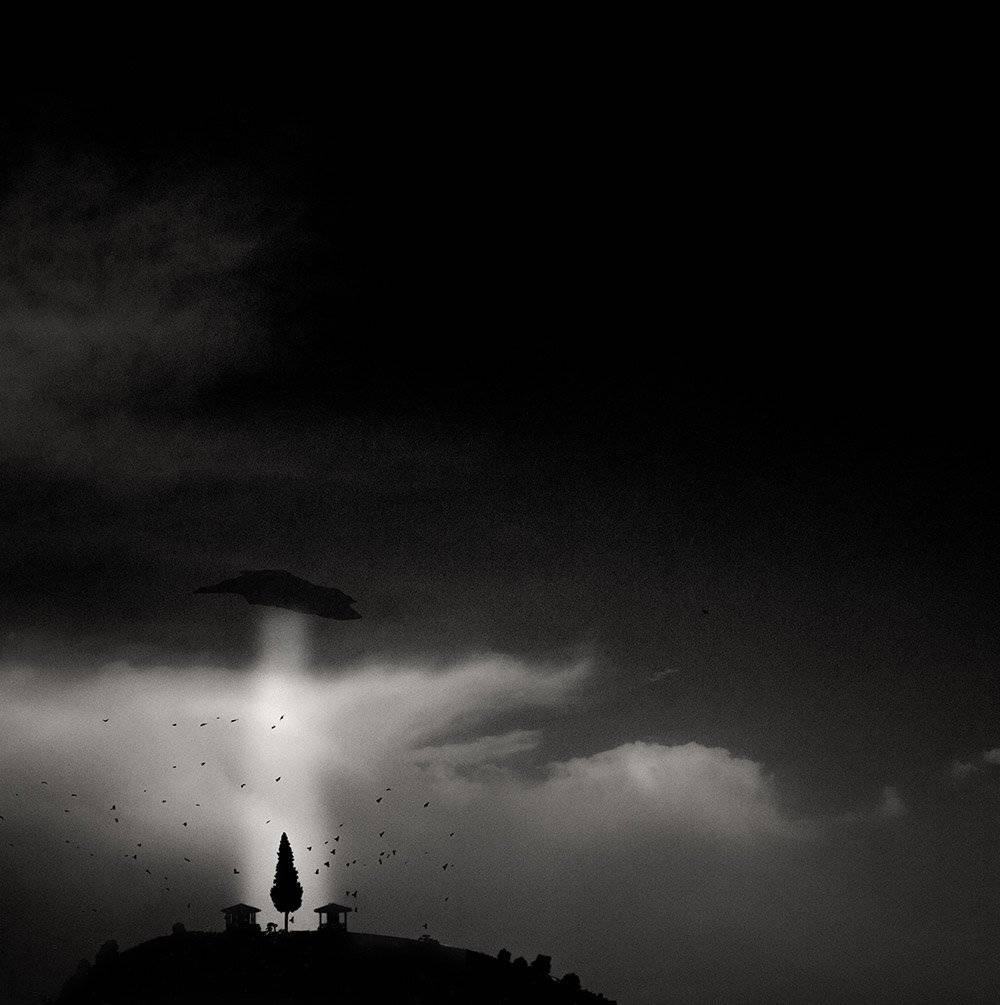 seer, return, fineart, fine art, concept, conceptual, ufo, shadow, light, beam,  tree, human, nature, landscape, photography,, milad safabakhsh