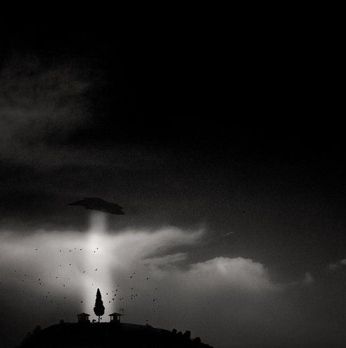 The seer returns