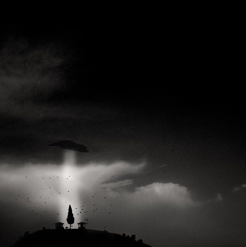 seer, return, fineart, fine art, concept, conceptual, ufo, shadow, light, beam,  tree, human, nature, landscape, photography, The seer returns фото превью