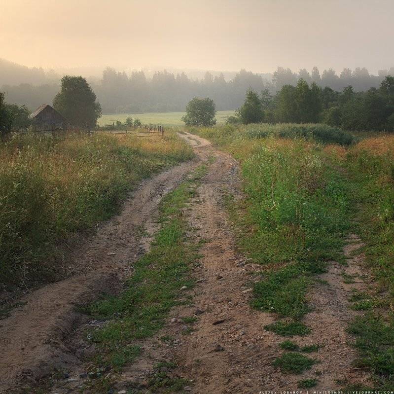 ярославская область, Алексей Лобанов