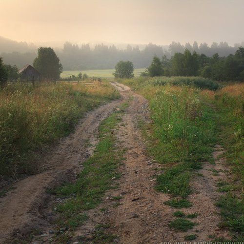 Утро августа