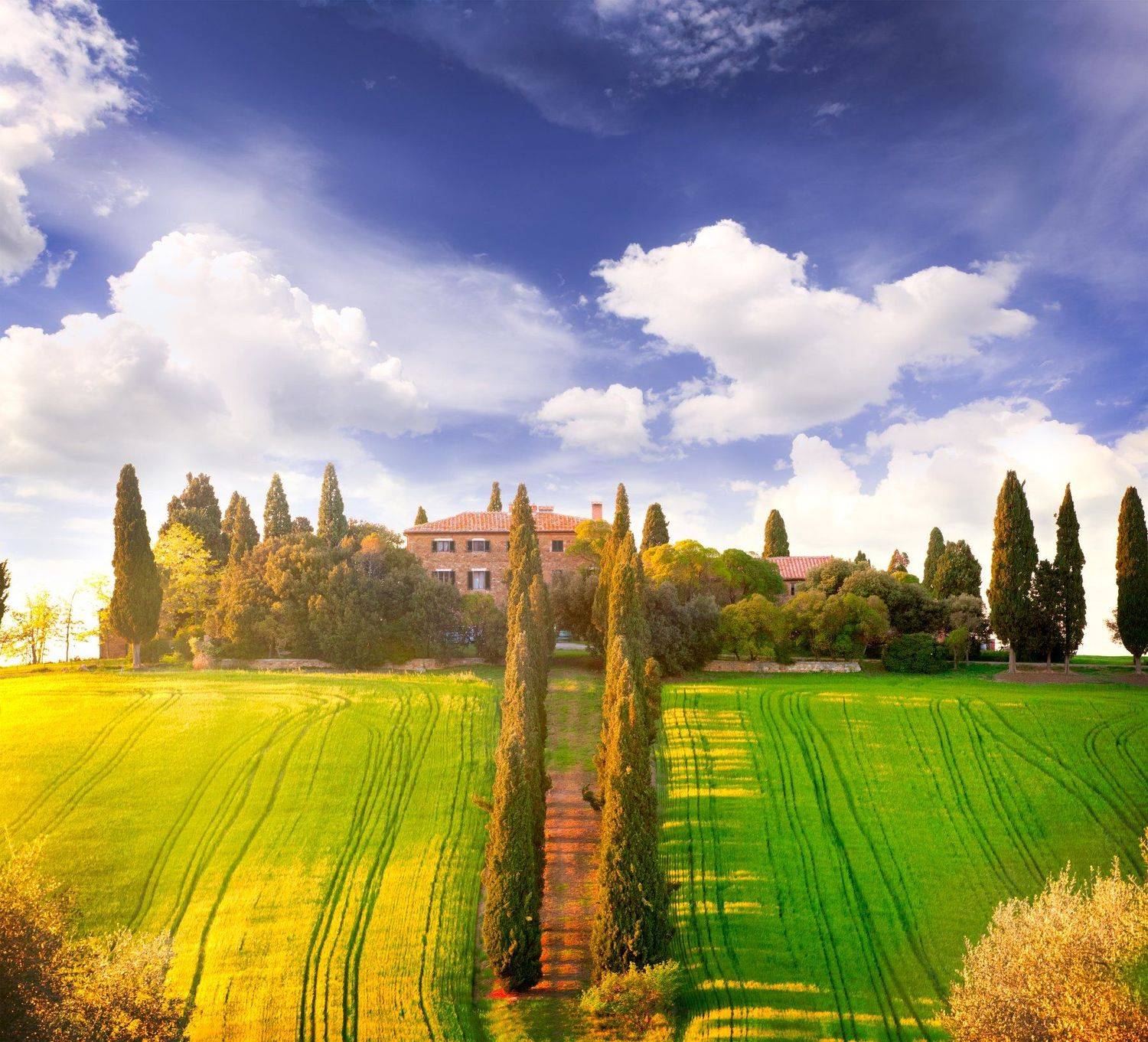 , Токарь Дмитрий