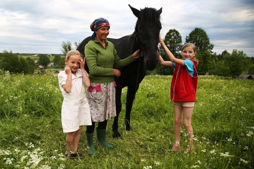 , Александр Аншуков