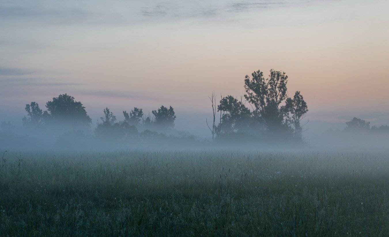 , Александр Бредихин