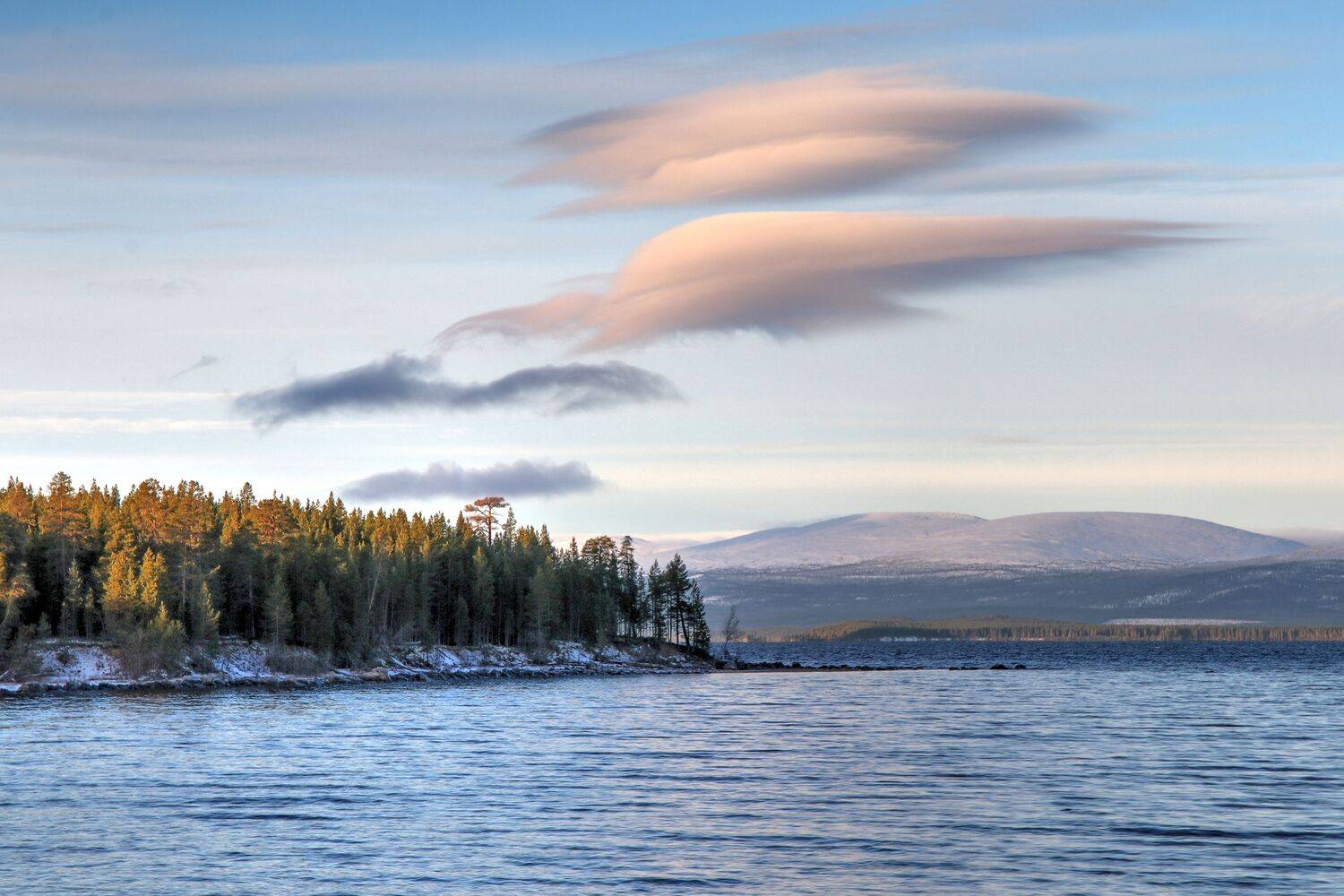 , Добролюбова Тамара