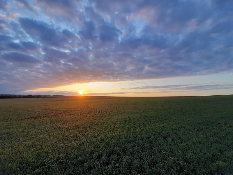 Осеннее утро фото превью