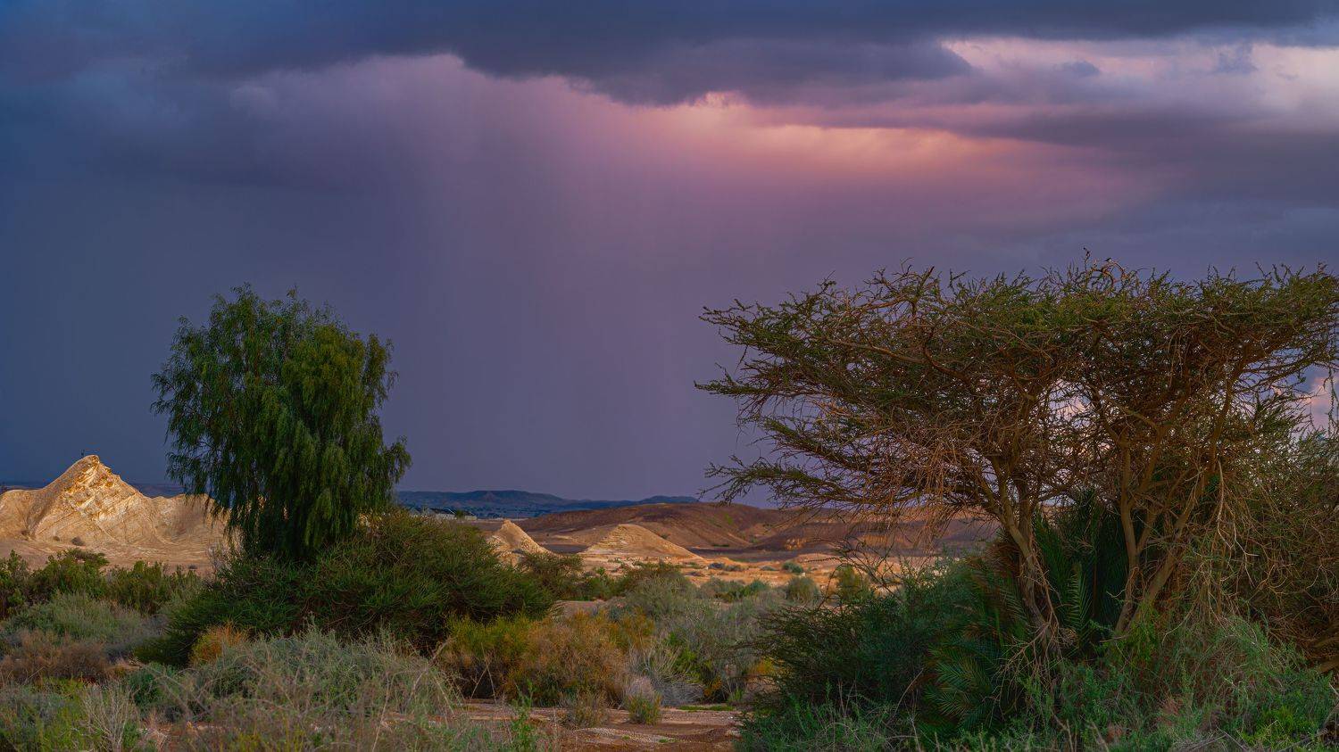 , Шварцман Евгений