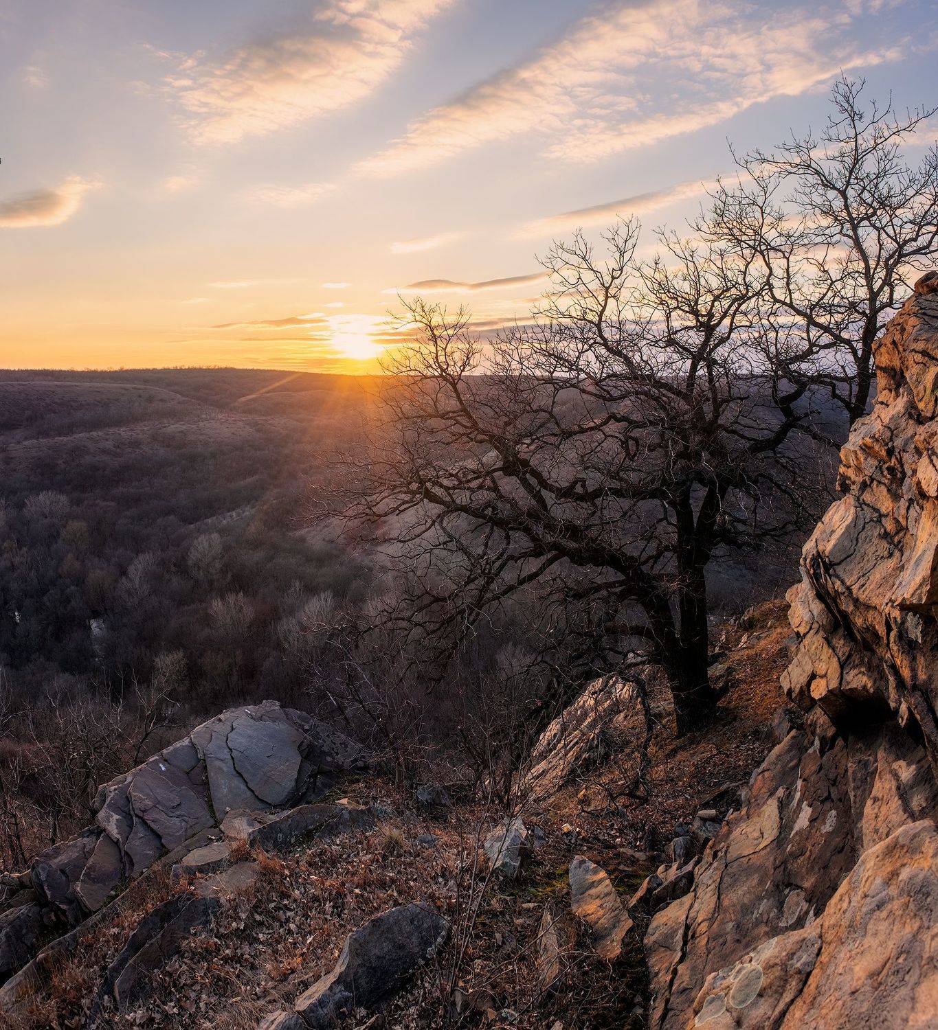 , Дитковский Евгений