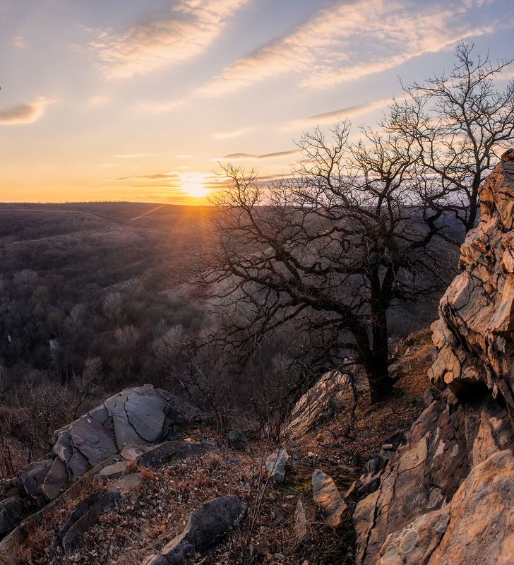 #ProDonbassSpring фото превью