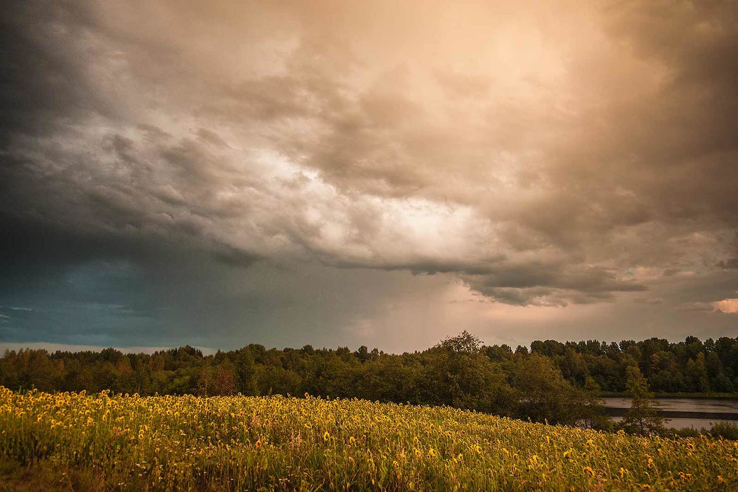 , Напалкин Станислав